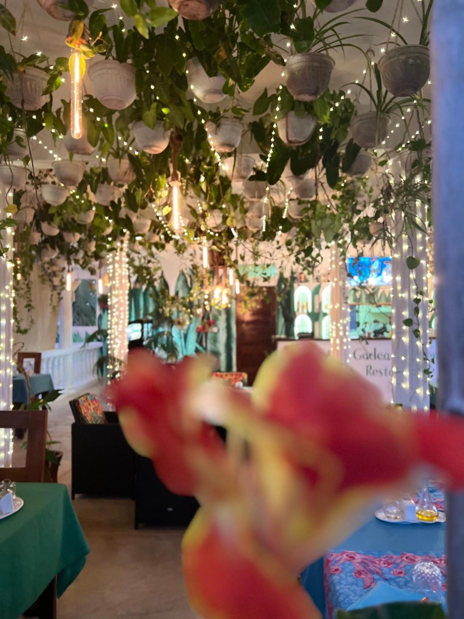 Gadea Boutique Hotel& Gadea Garden Italian Restaurant (Adults Only) ジャンビアニ エクステリア 写真