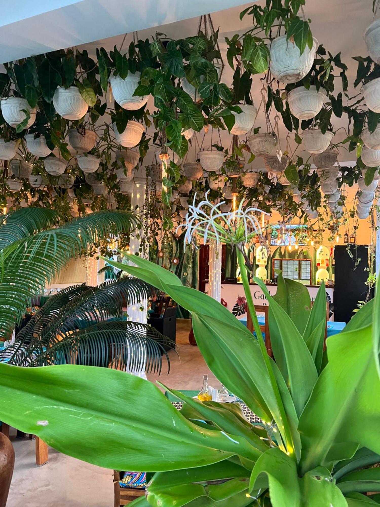 Gadea Boutique Hotel& Gadea Garden Italian Restaurant (Adults Only) ジャンビアニ エクステリア 写真